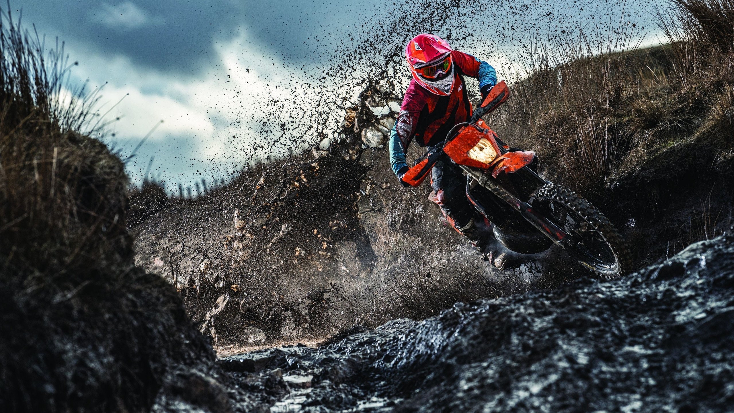 开云体育在线-中国跳水队包揽8枚金牌，创历史新高，中国 跳水队